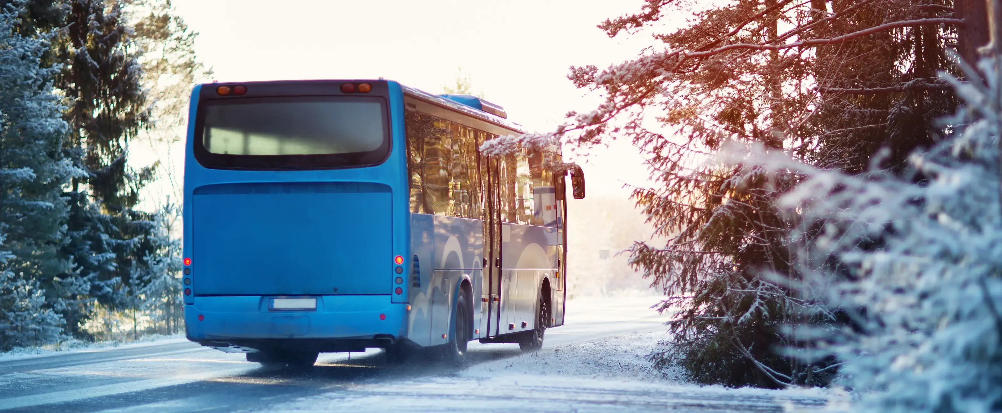 bus bleu